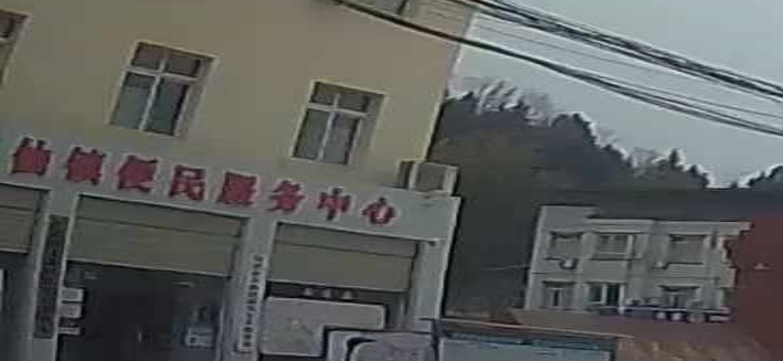 天仙镇人民政府