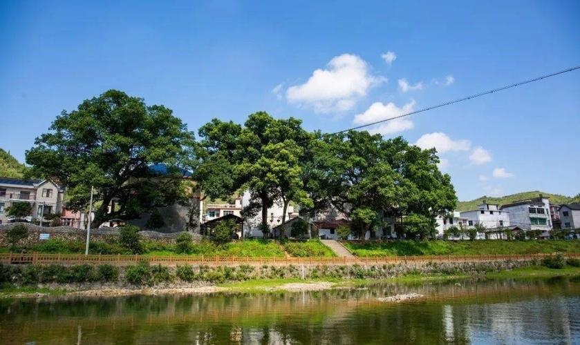 陈家新村
