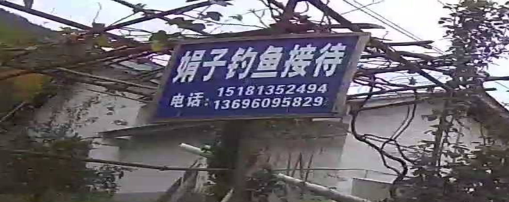 娟子钓鱼