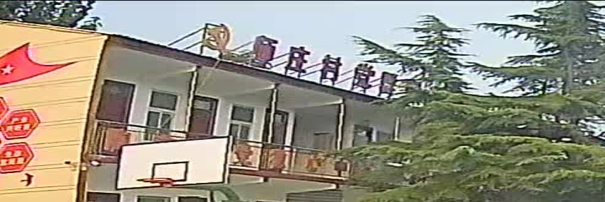 师庄村