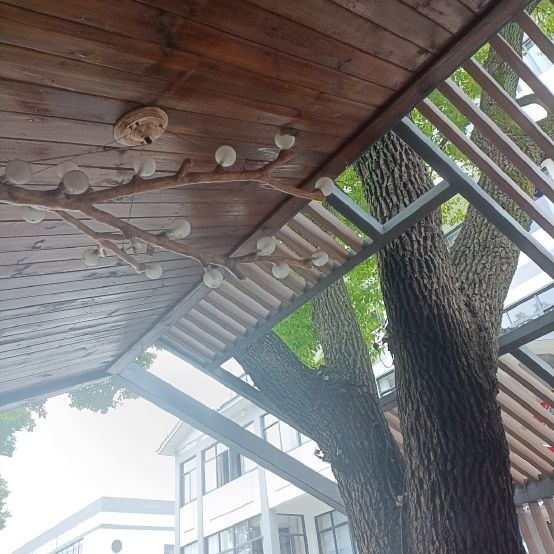 绍兴树兰书房(仓桥直街历史街区店)