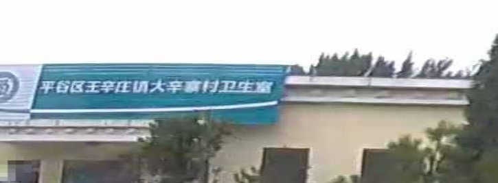 大辛寨村