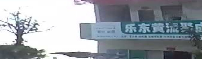 乐东黄流聚成农资店