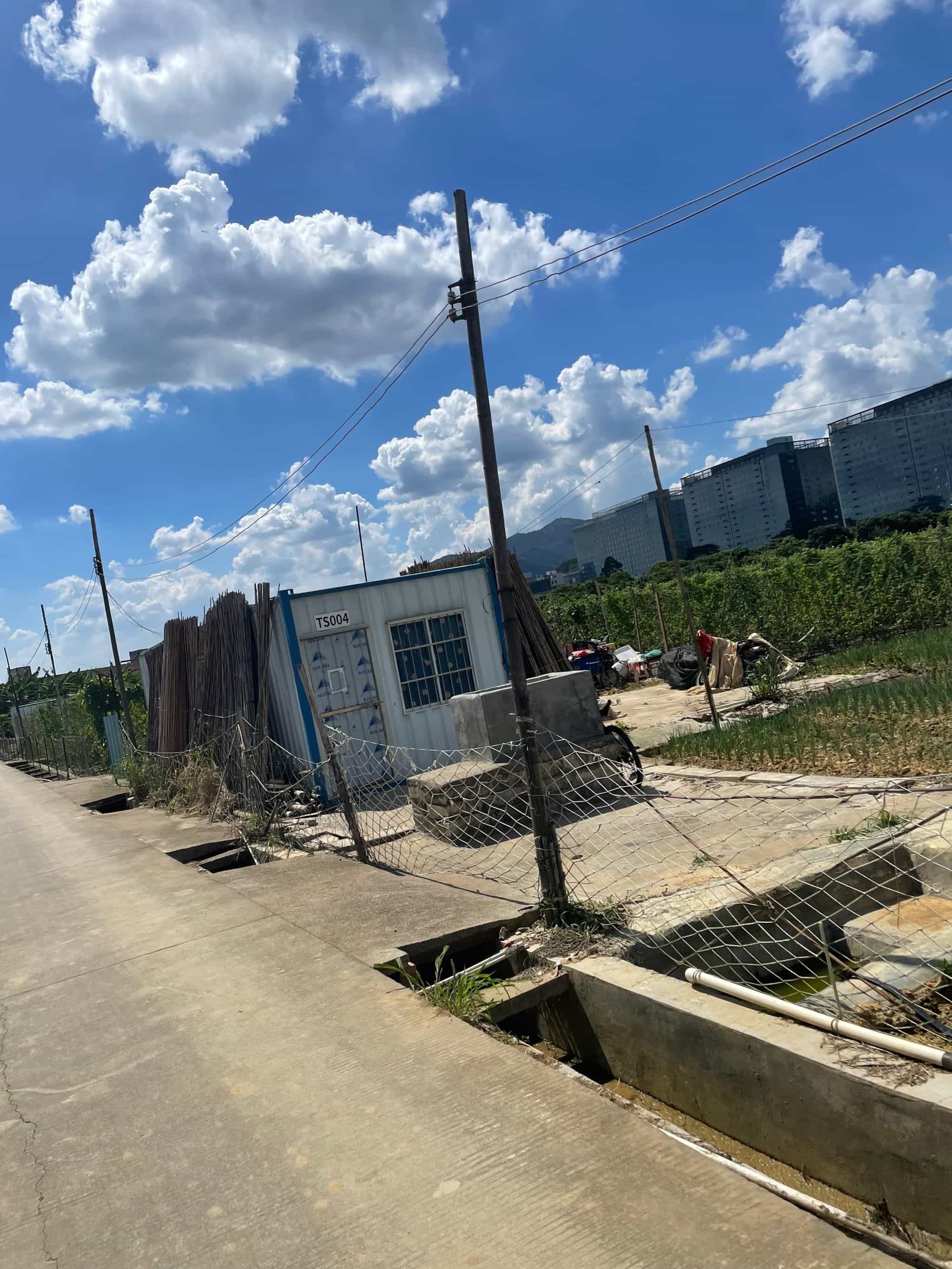 清溪铁松生态垂钓园