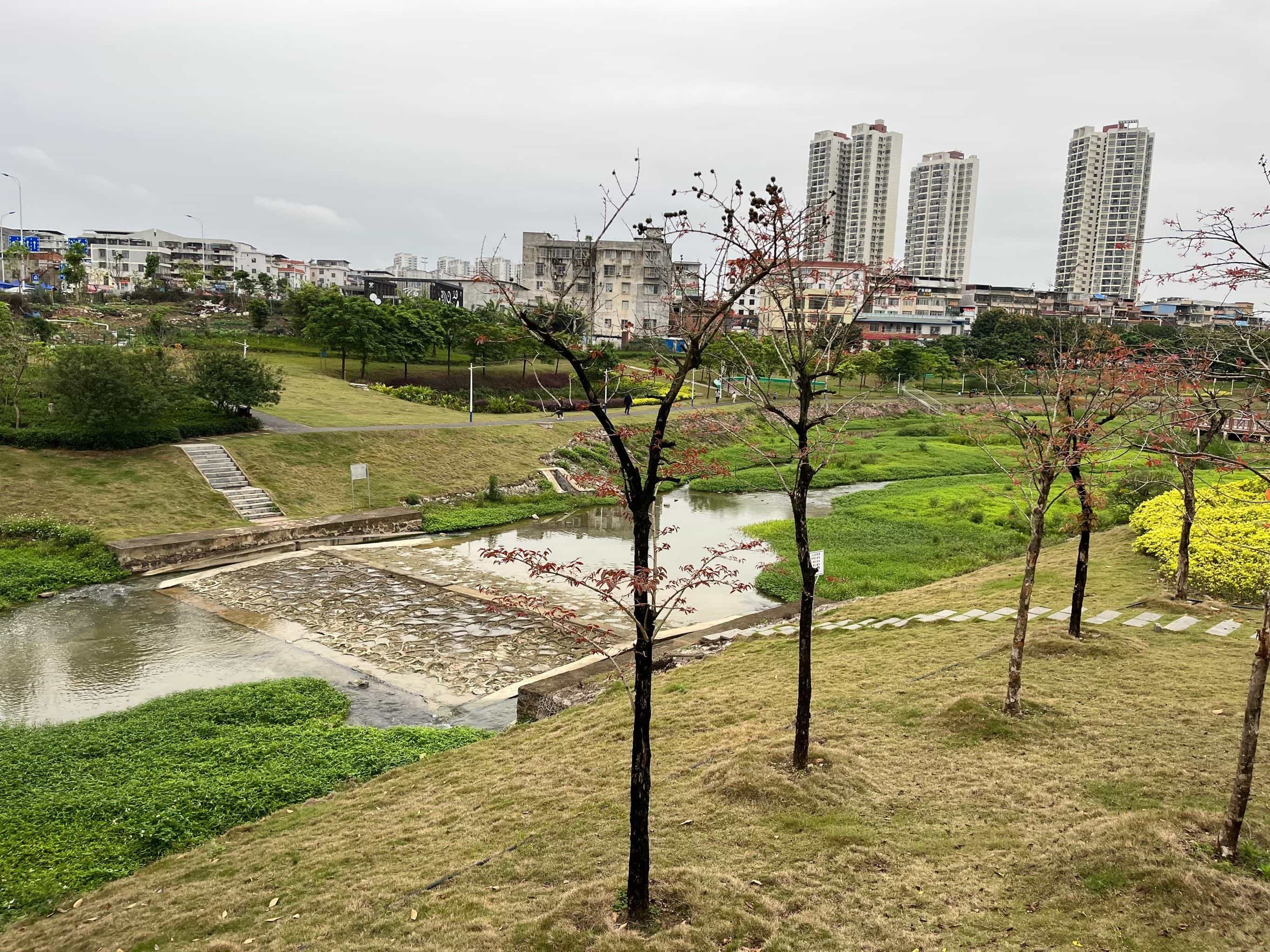 沙江河湿地公园