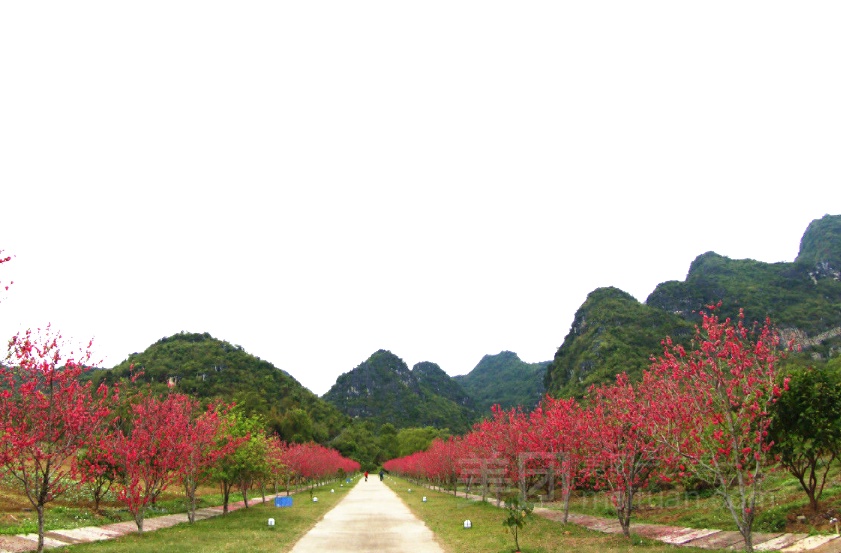 崇左桃花岛景区