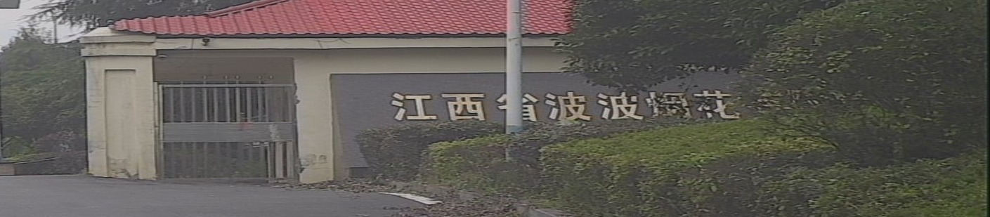 江西省波波烟花有限公司