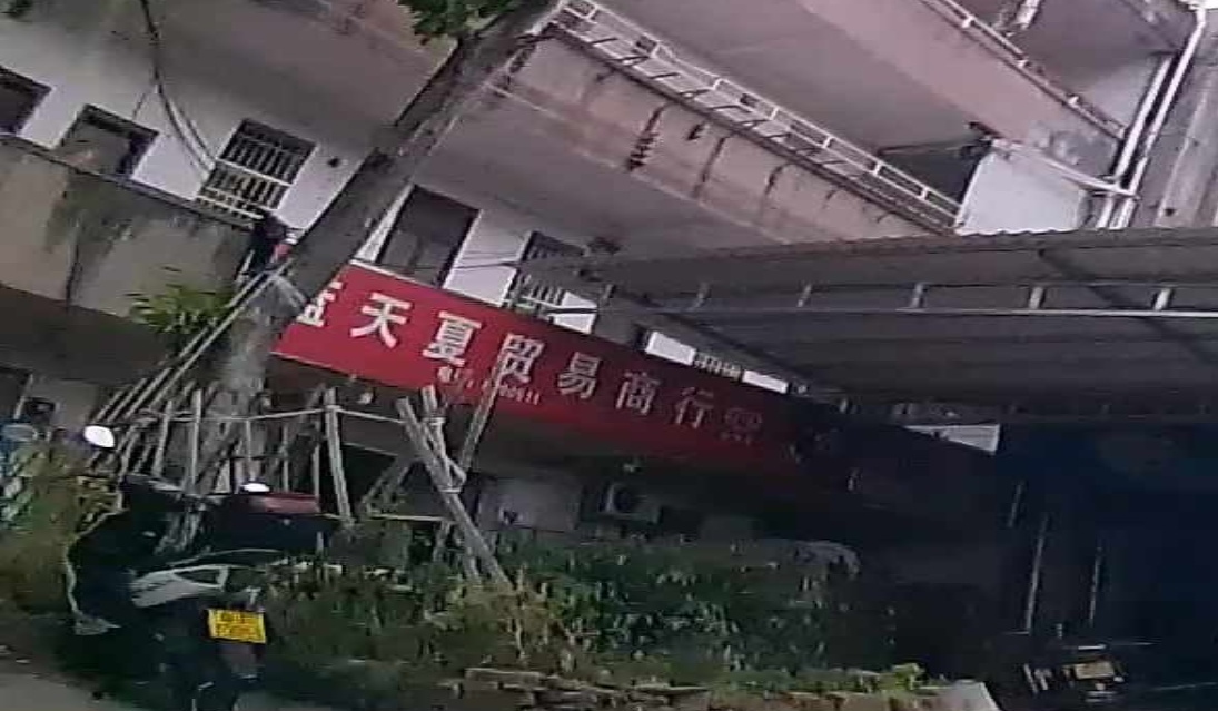 蓝天夏糕批发