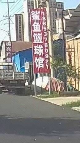 鲨鱼篮球场