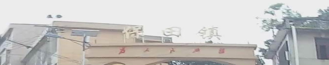 盘县保田镇人大