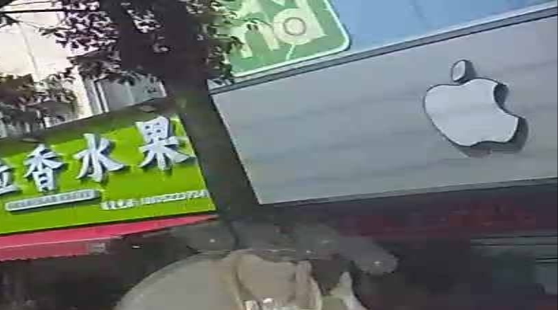 苹果体验店(四牌楼店)