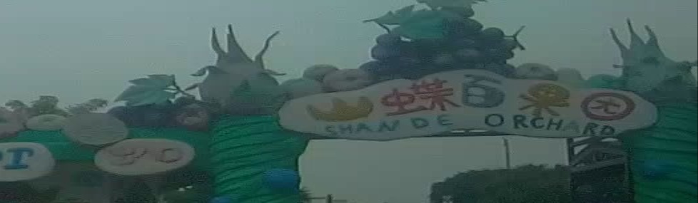 蝶百果园