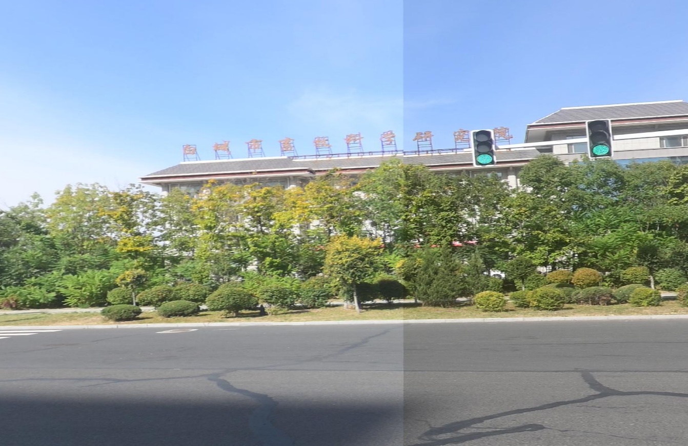 白城市畜牧总站