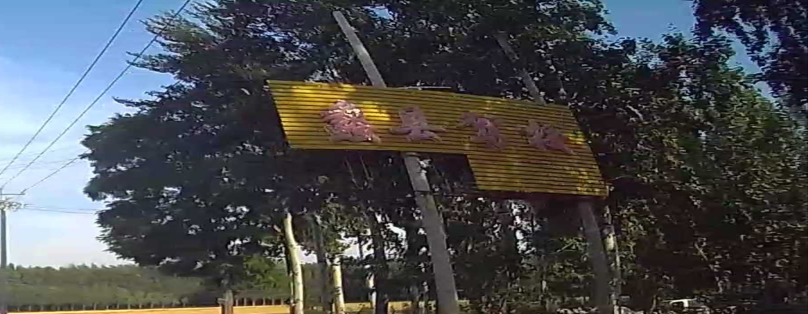 蠡县驾校