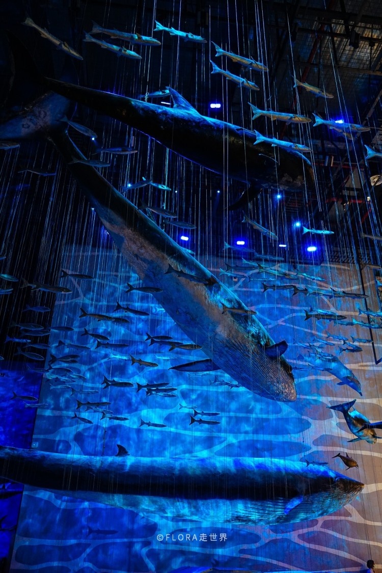 梦幻海洋馆
