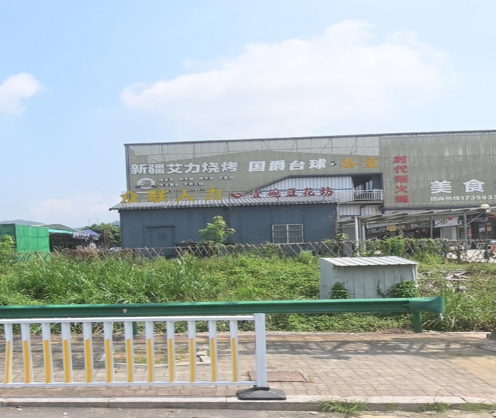 新疆爱力烧烤(新能源店)