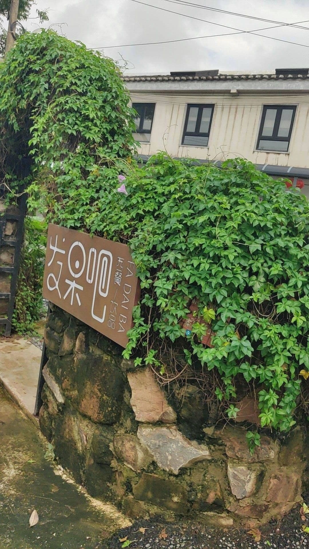 发呆吧