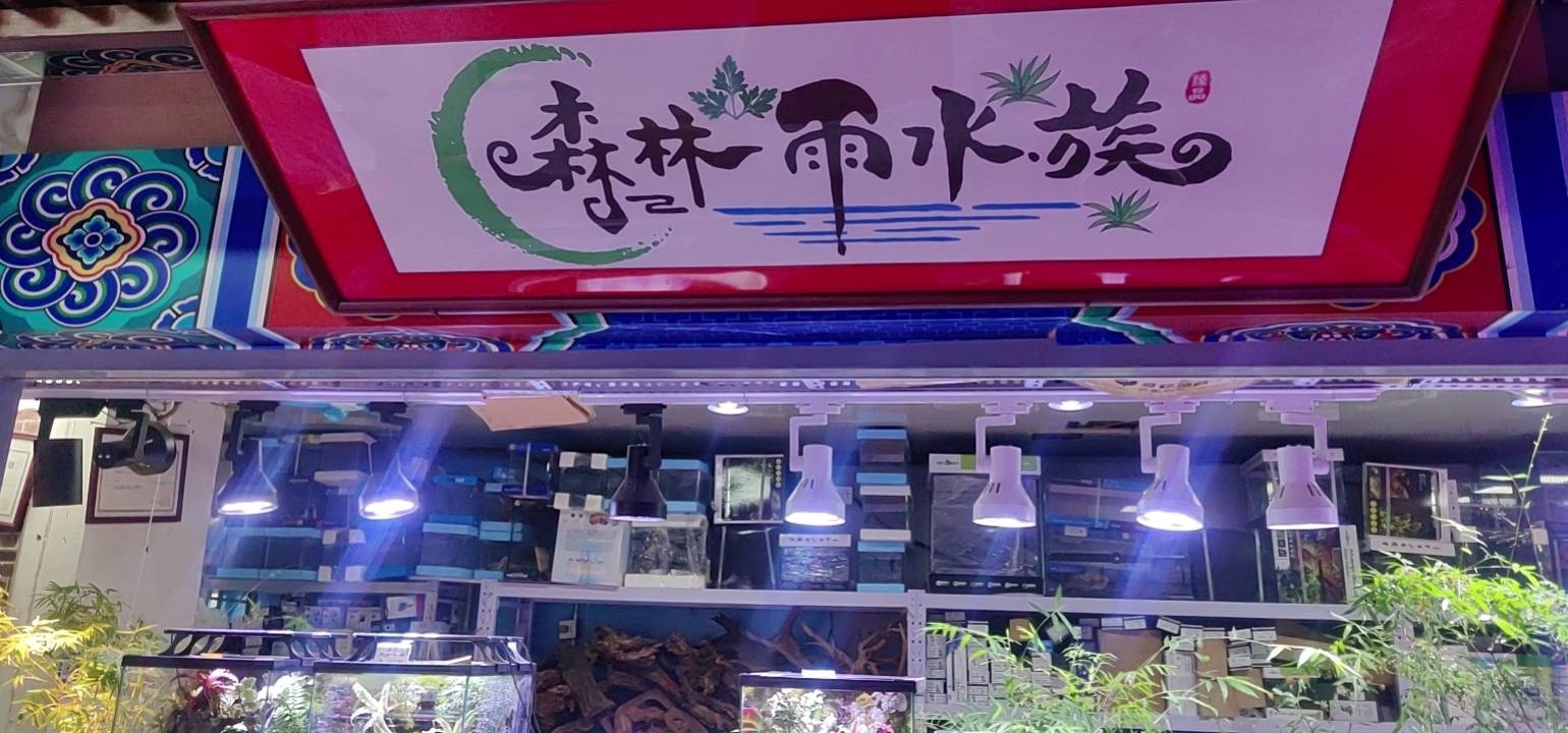 森林雨水族
