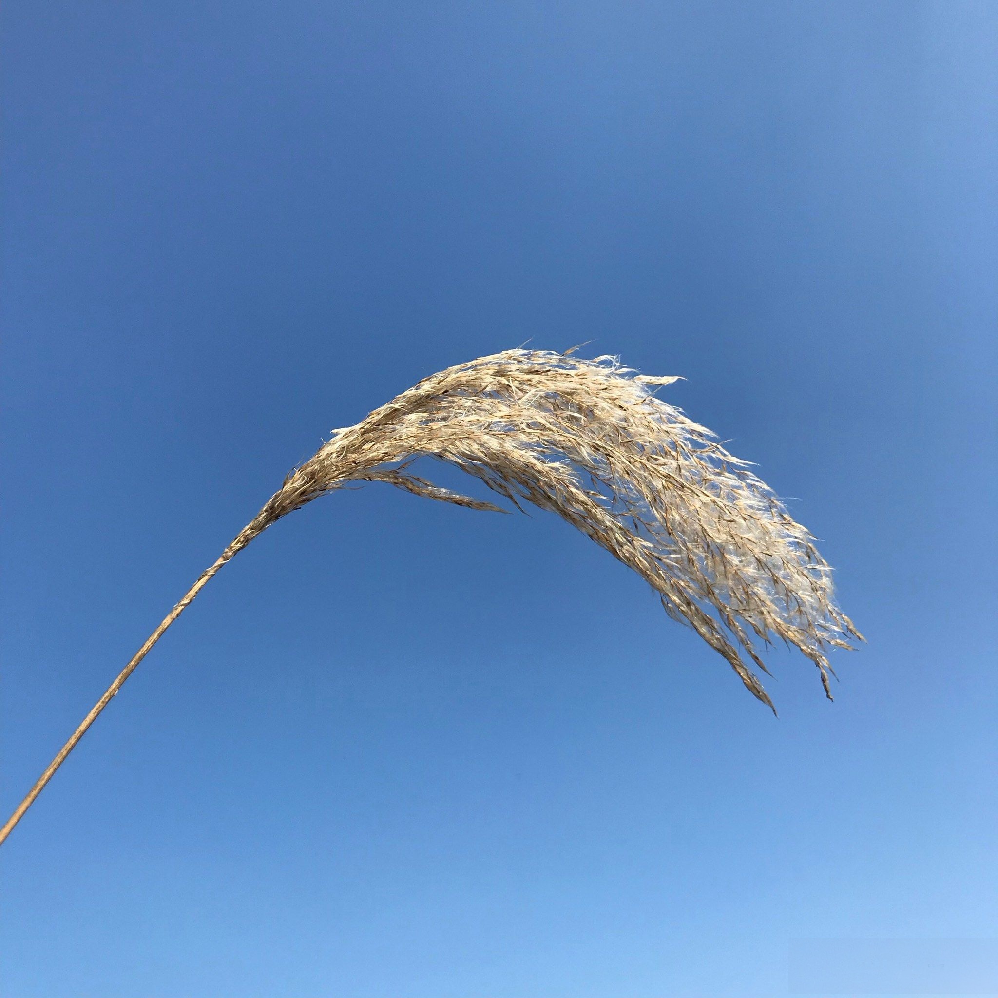 浩鱼休闲垂钓