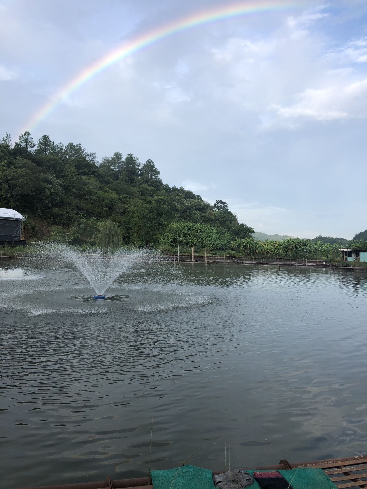 馨园钓鱼