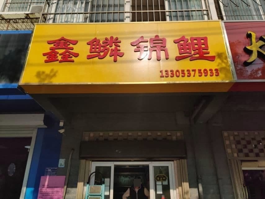 鑫鳞金立(花鸟鱼市店)