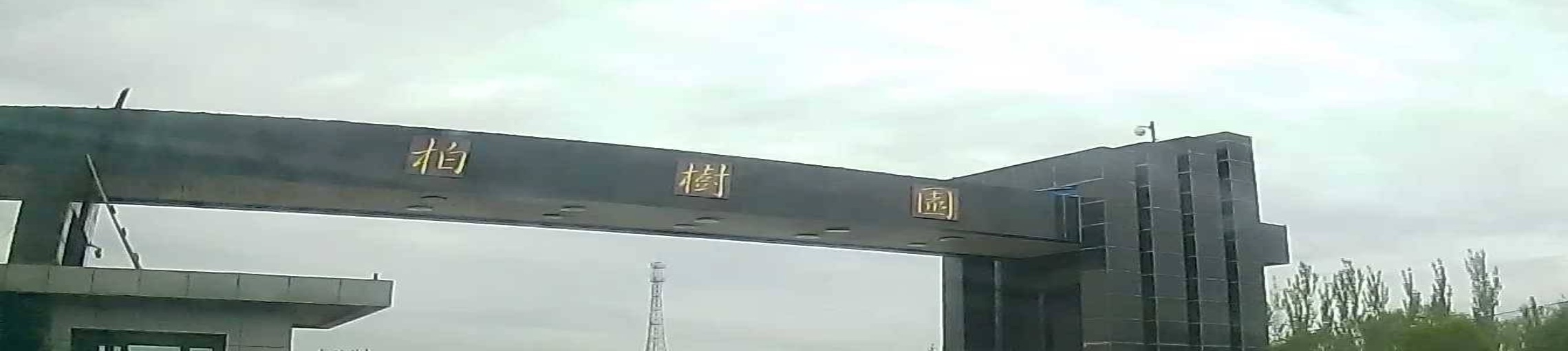 柏树园