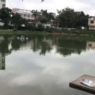 龙泉钓yu场