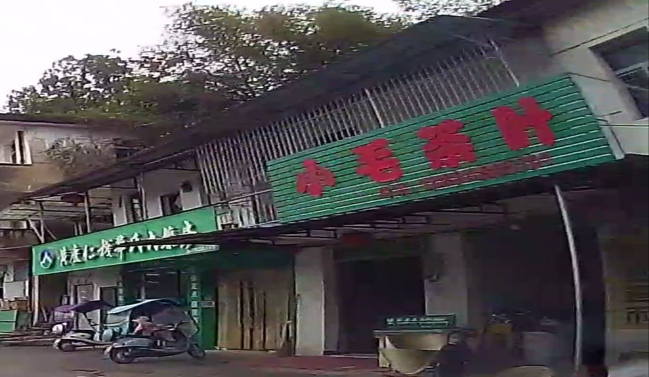 小毛茶叶