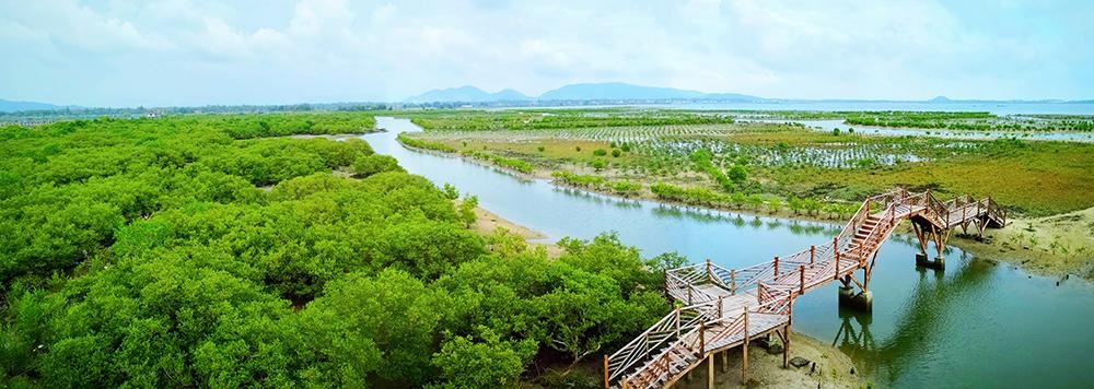 海南陵水红树林国家湿地公园