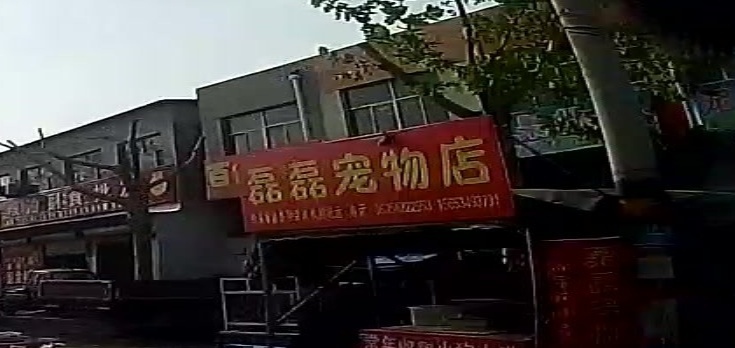 磊磊宠物店