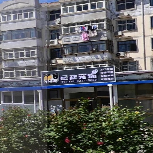 岳廷宠物店
