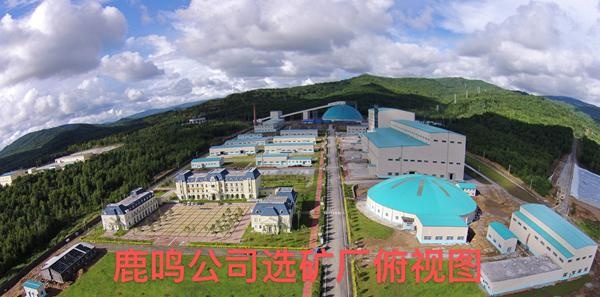 鹿鸣矿业有限公司