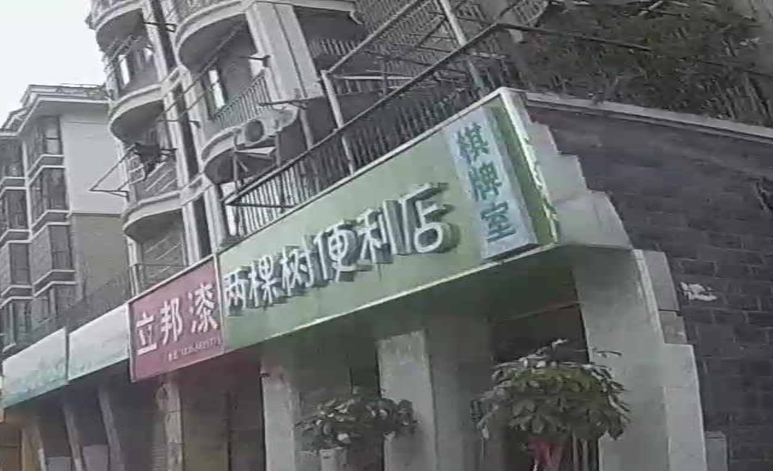 两棵树便利店