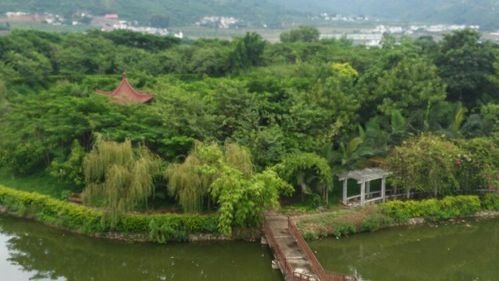 甘庄公园