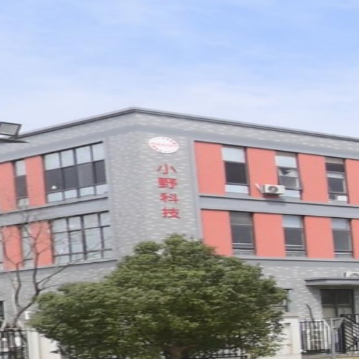 杭州小野科技