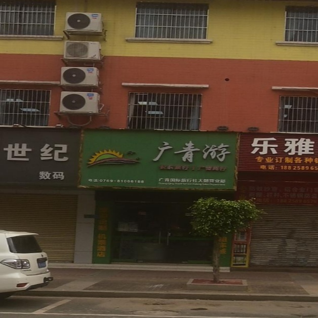 广东青旅旅游公司