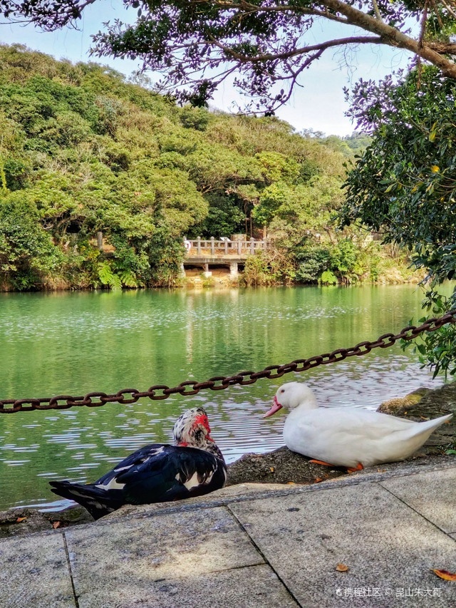 情人湖公园