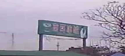 南环冰城