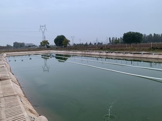白露垂钓园