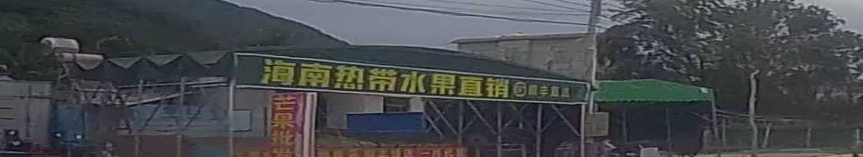 海南热带水果直销