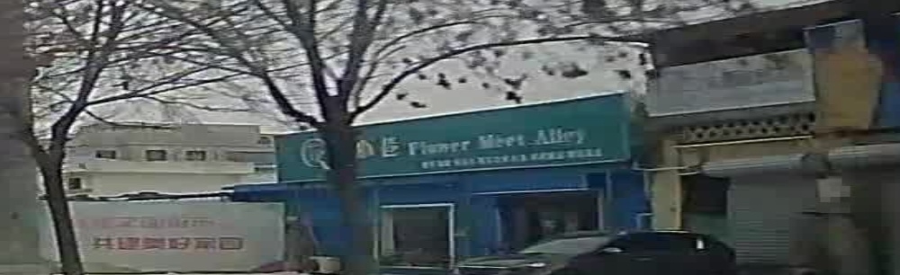 花遇小巷Flower Meet Alley