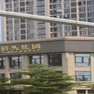 黄金码头集团(铂景雅居商务店)