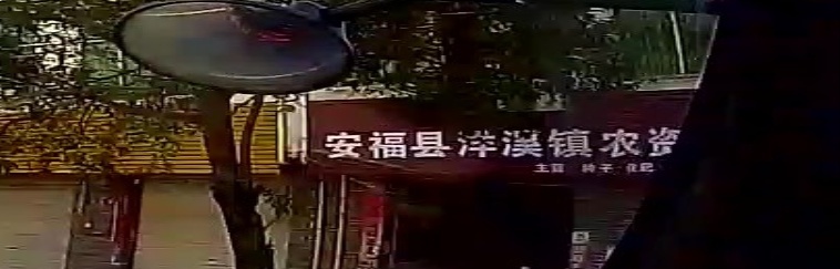 中共安福县洋溪镇委员会