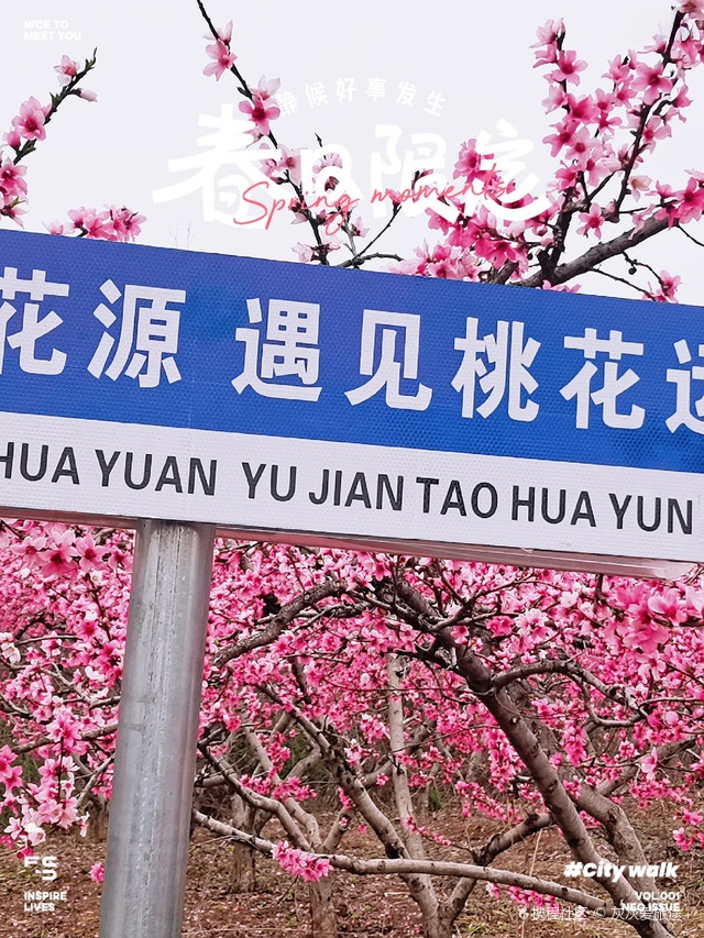 五马桃花园