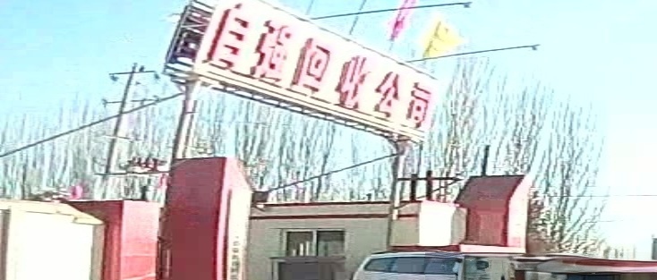 酒泉市自强报废汽车出售拆解公司