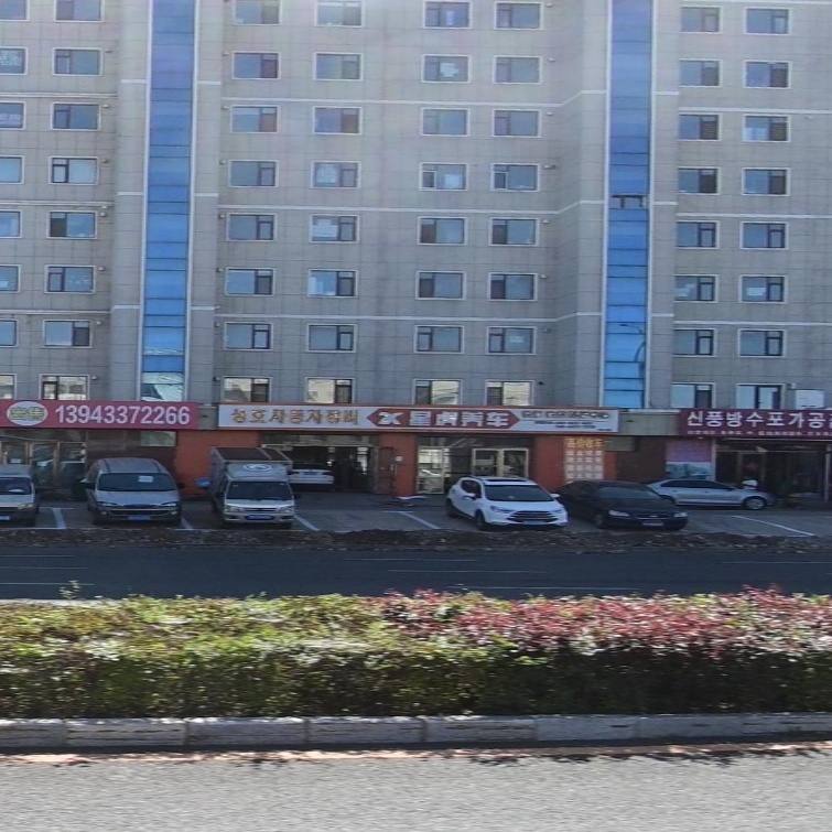 星虎养车(威远嘉苑南区店)