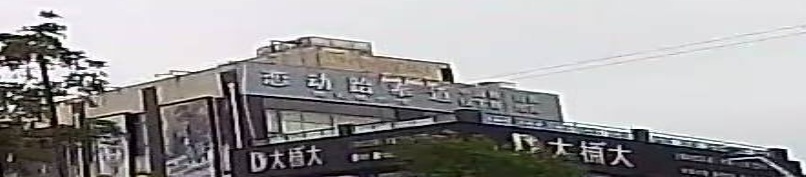 恋动跆拳道(陈家镇分馆)