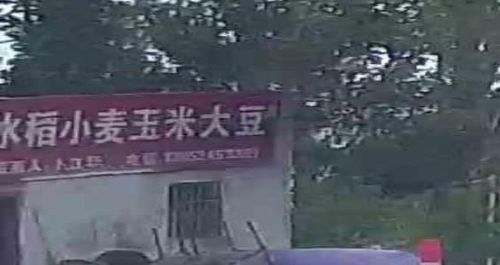 收购水稻小麦玉米大豆
