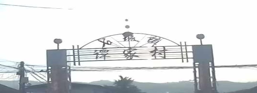 谭家村