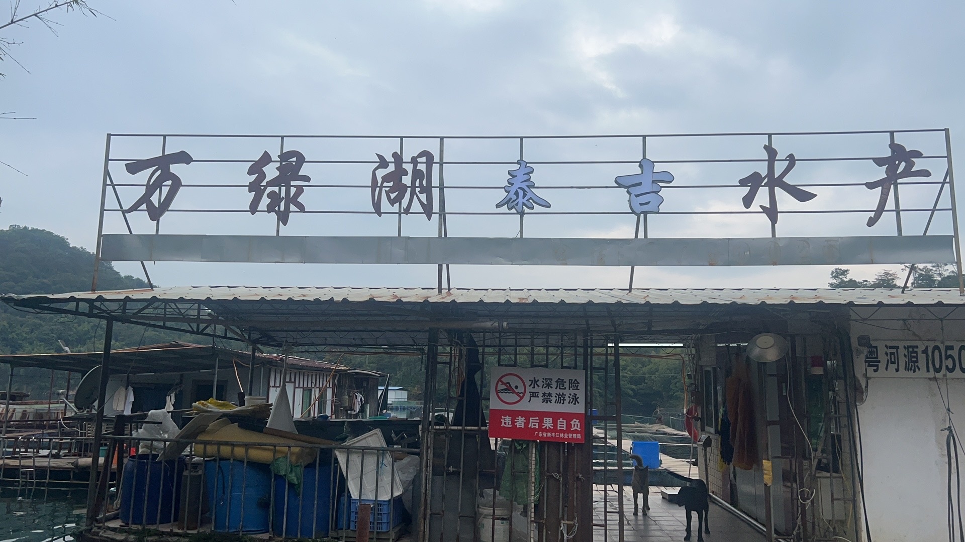 泰极水产